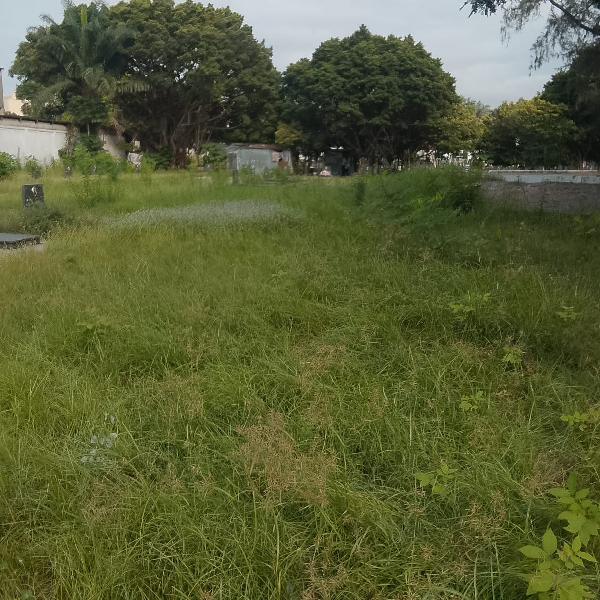 Photo 2 — état avant, cimetière des victimes du vol U.T.A. (1989)
