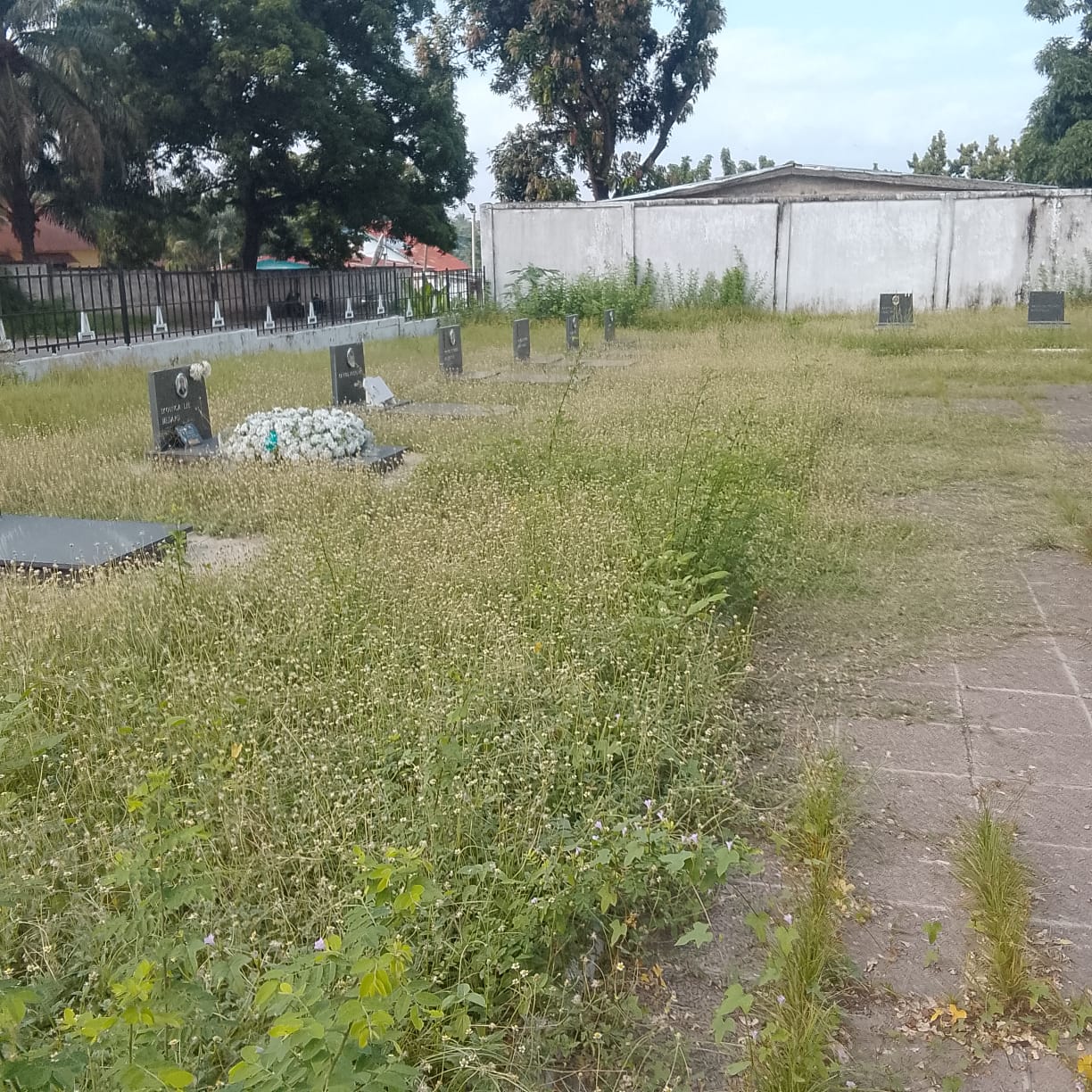 Photo 3 — état avant, cimetière des victimes du vol U.T.A. (1989)