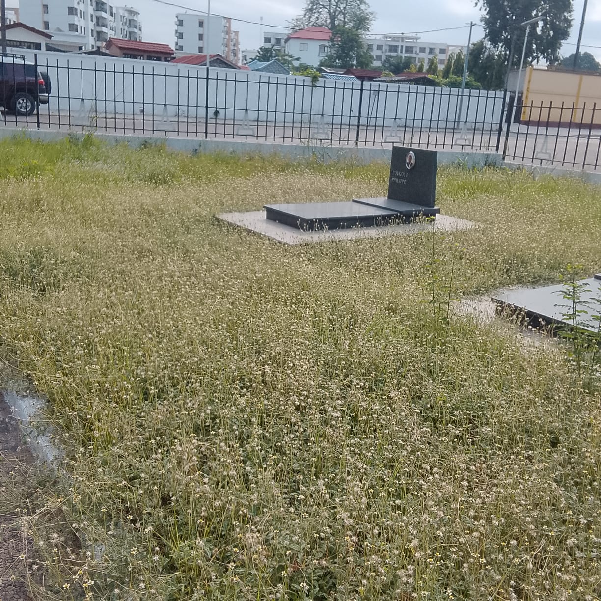 Photo 7 — état avant, cimetière des victimes du vol U.T.A. (1989)