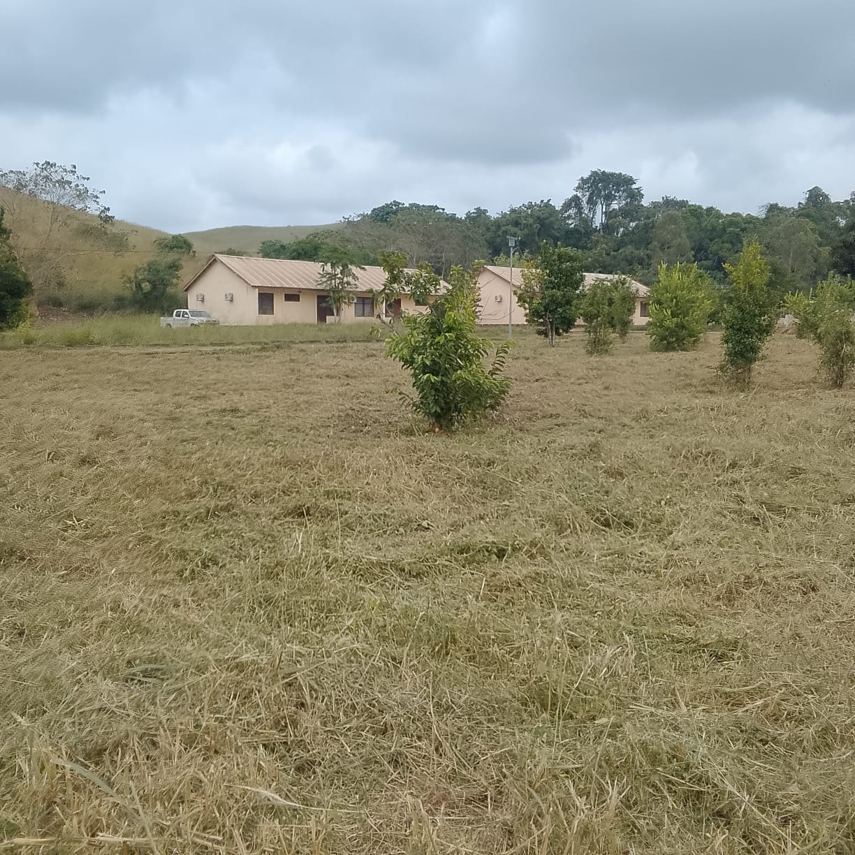 Photo 14 — état avant, I.F.T.P.L. de Loudima