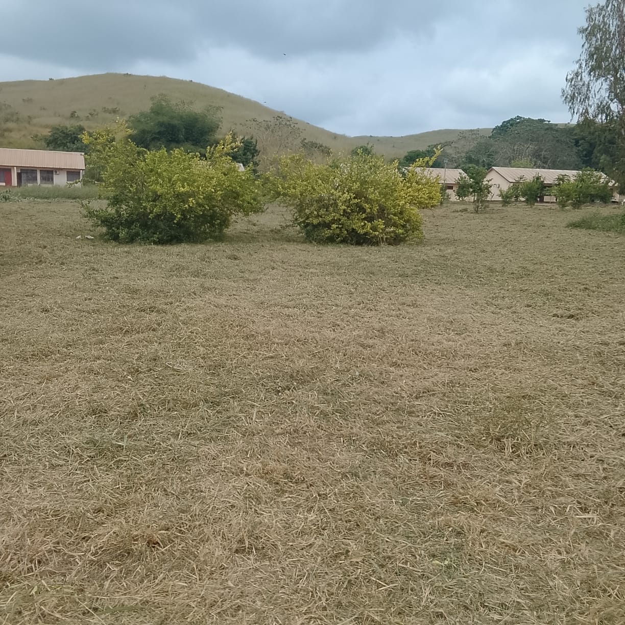 Vue du site de l’I.F.T.P.L. de Loudima