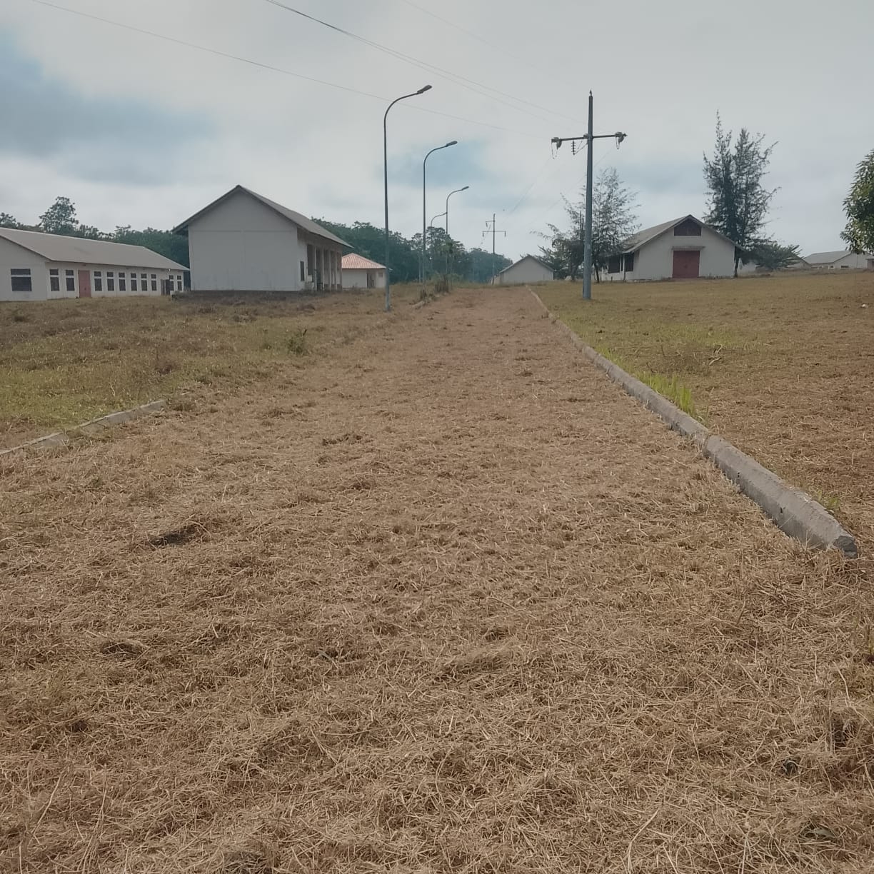 Photo 25 — état après, I.F.T.P.L. de Loudima