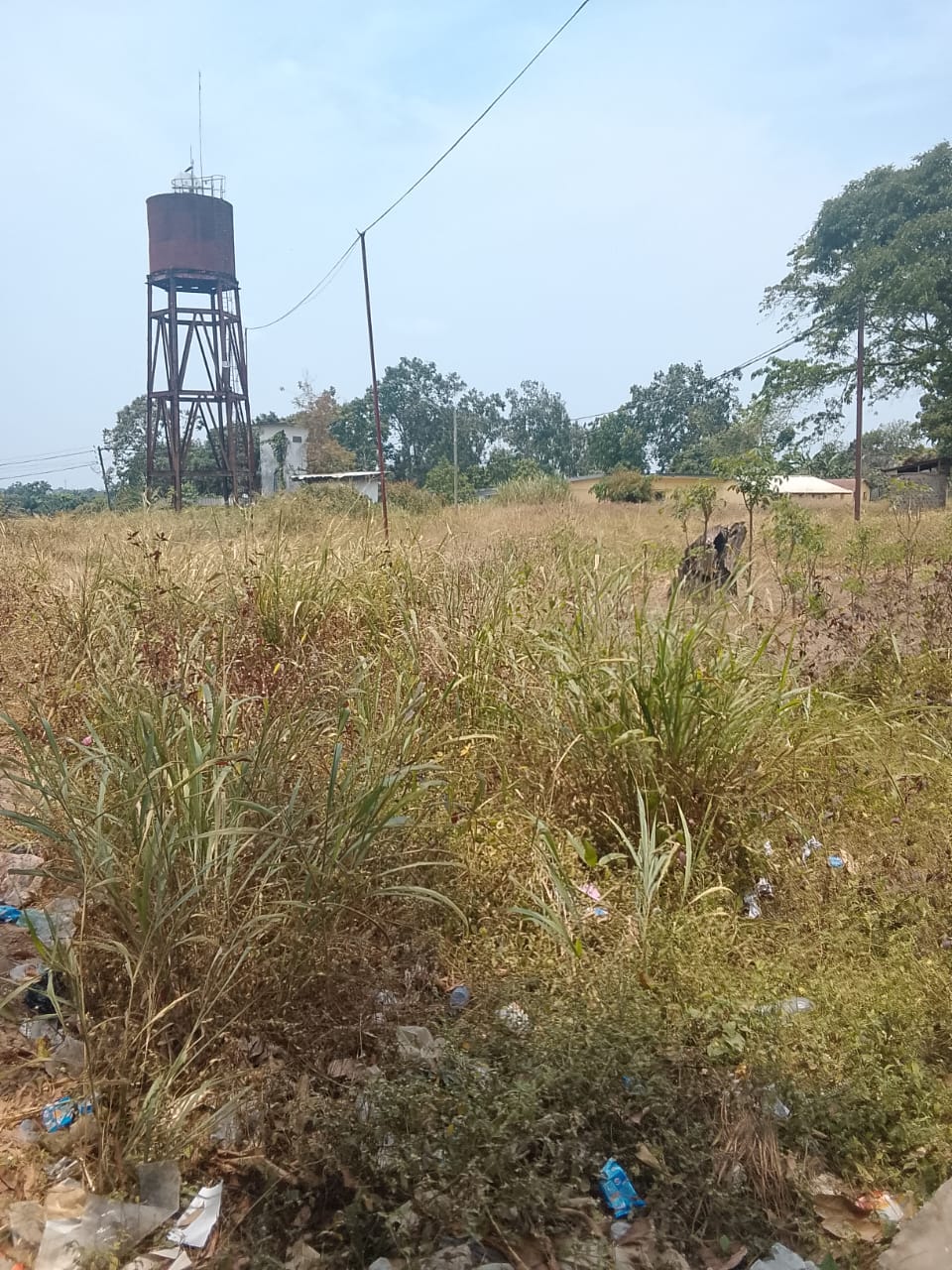 Photo 2 — avant les travaux, Lycée agricole du km 17 à Brazzaville