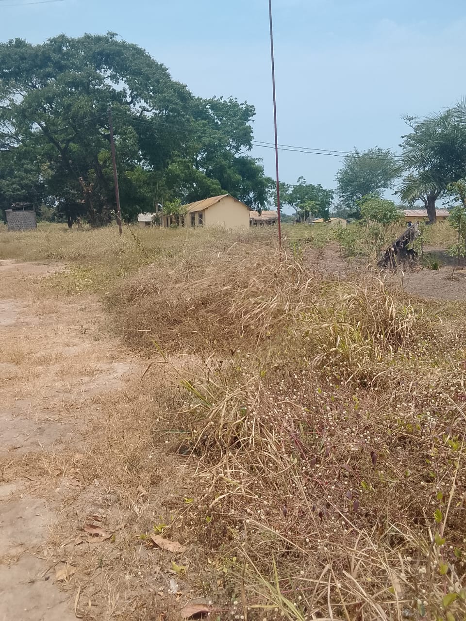 Photo 6 — avant les travaux, Lycée agricole du km 17 à Brazzaville