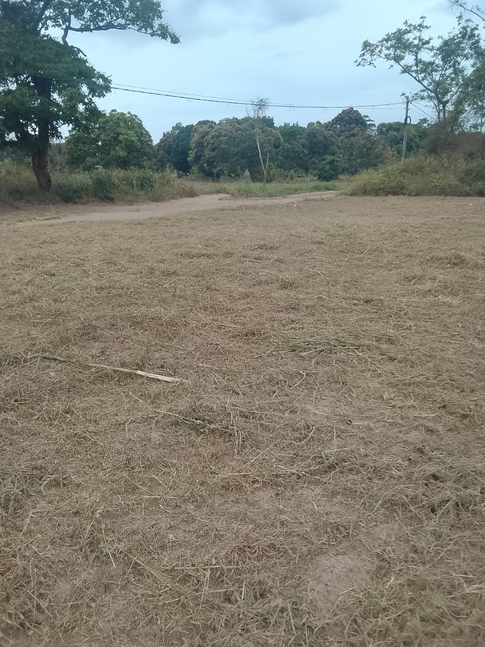 Photo 11 — après les travaux, Lycée agricole du km 17 à Brazzaville