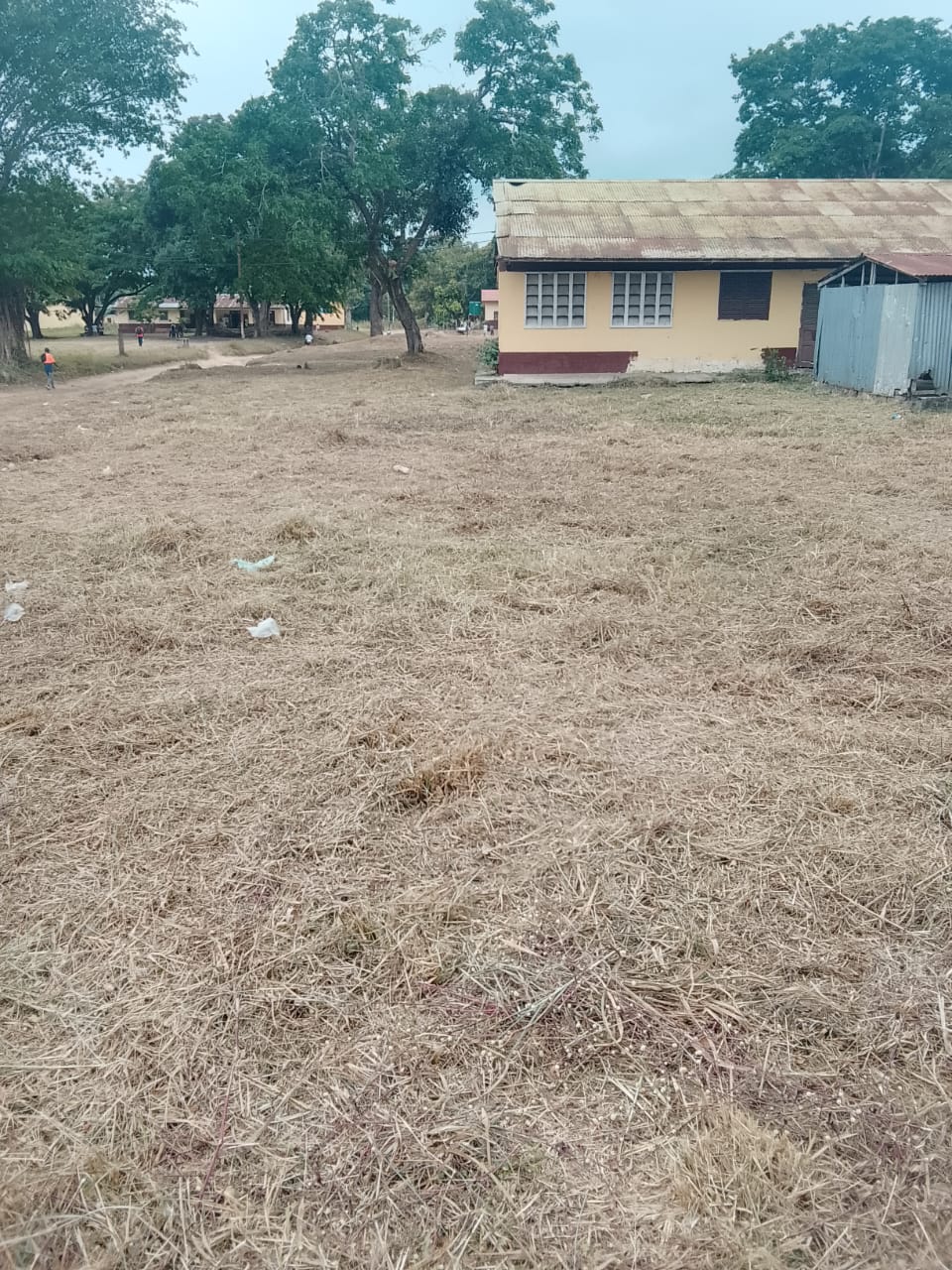 Photo 18 — après les travaux, Lycée agricole du km 17 à Brazzaville
