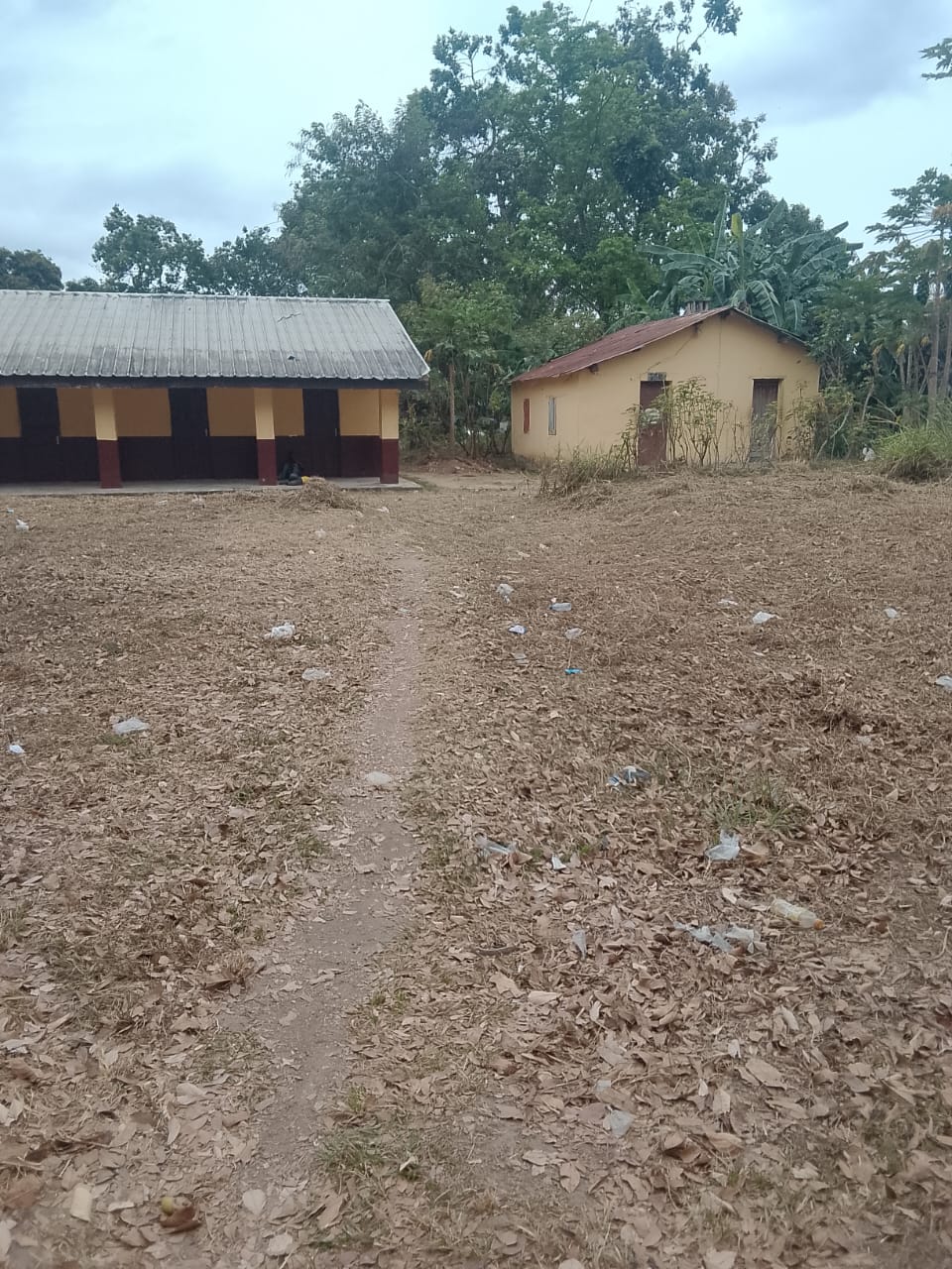 Photo 23 — après les travaux, Lycée agricole du km 17 à Brazzaville