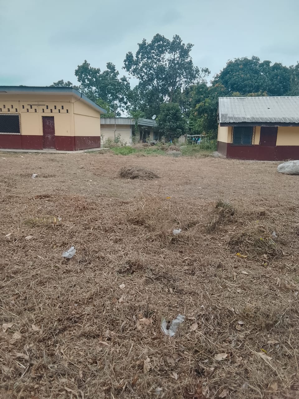 Photo 24 — après les travaux, Lycée agricole du km 17 à Brazzaville