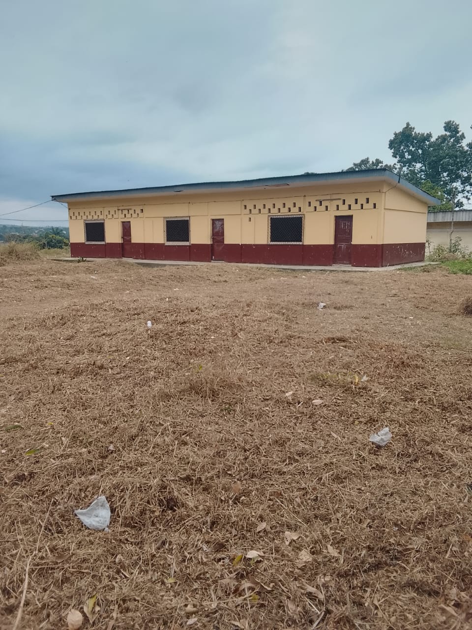 Photo 25 — après les travaux, Lycée agricole du km 17 à Brazzaville