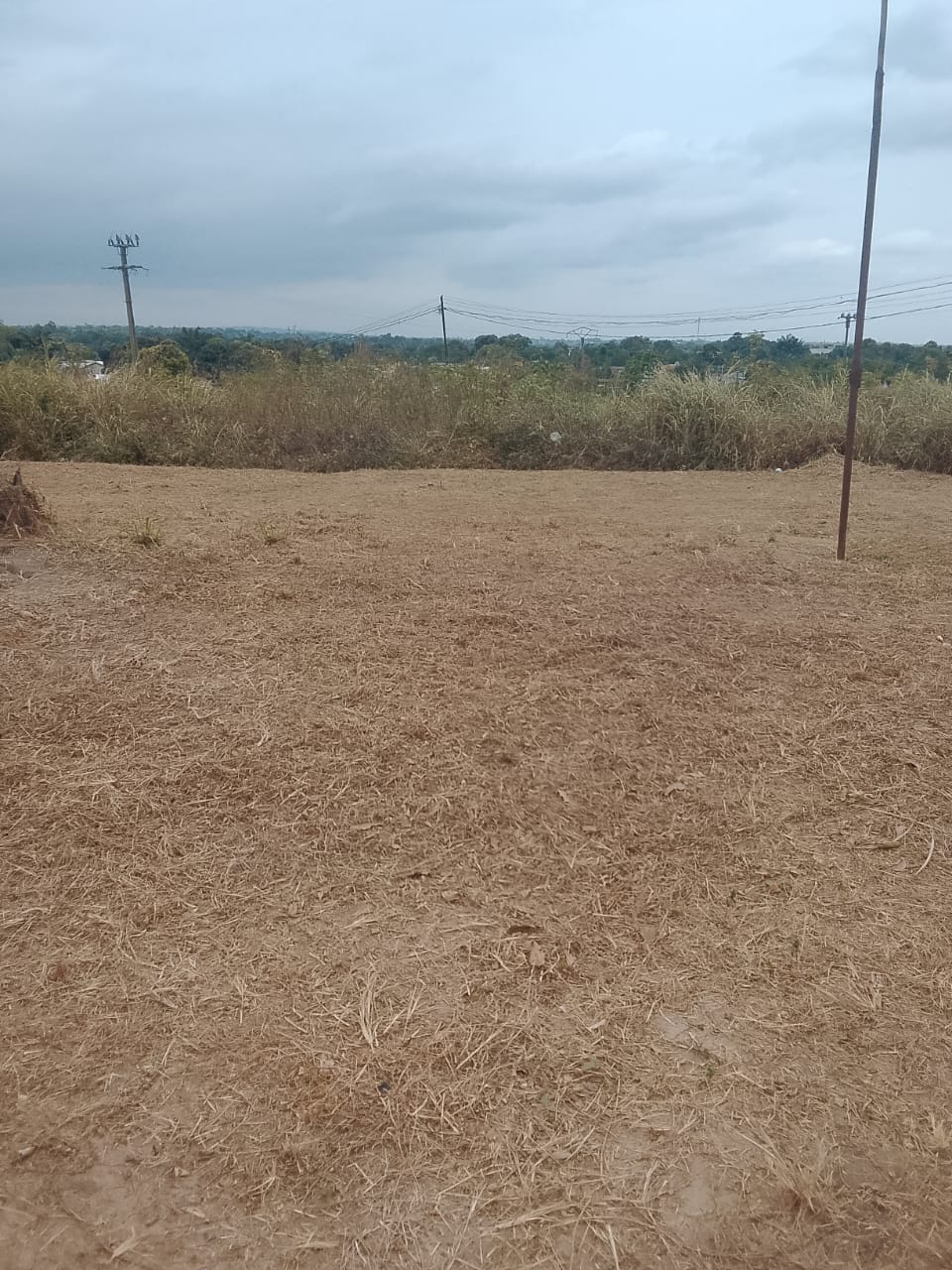 Photo 33 — après les travaux, Lycée agricole du km 17 à Brazzaville