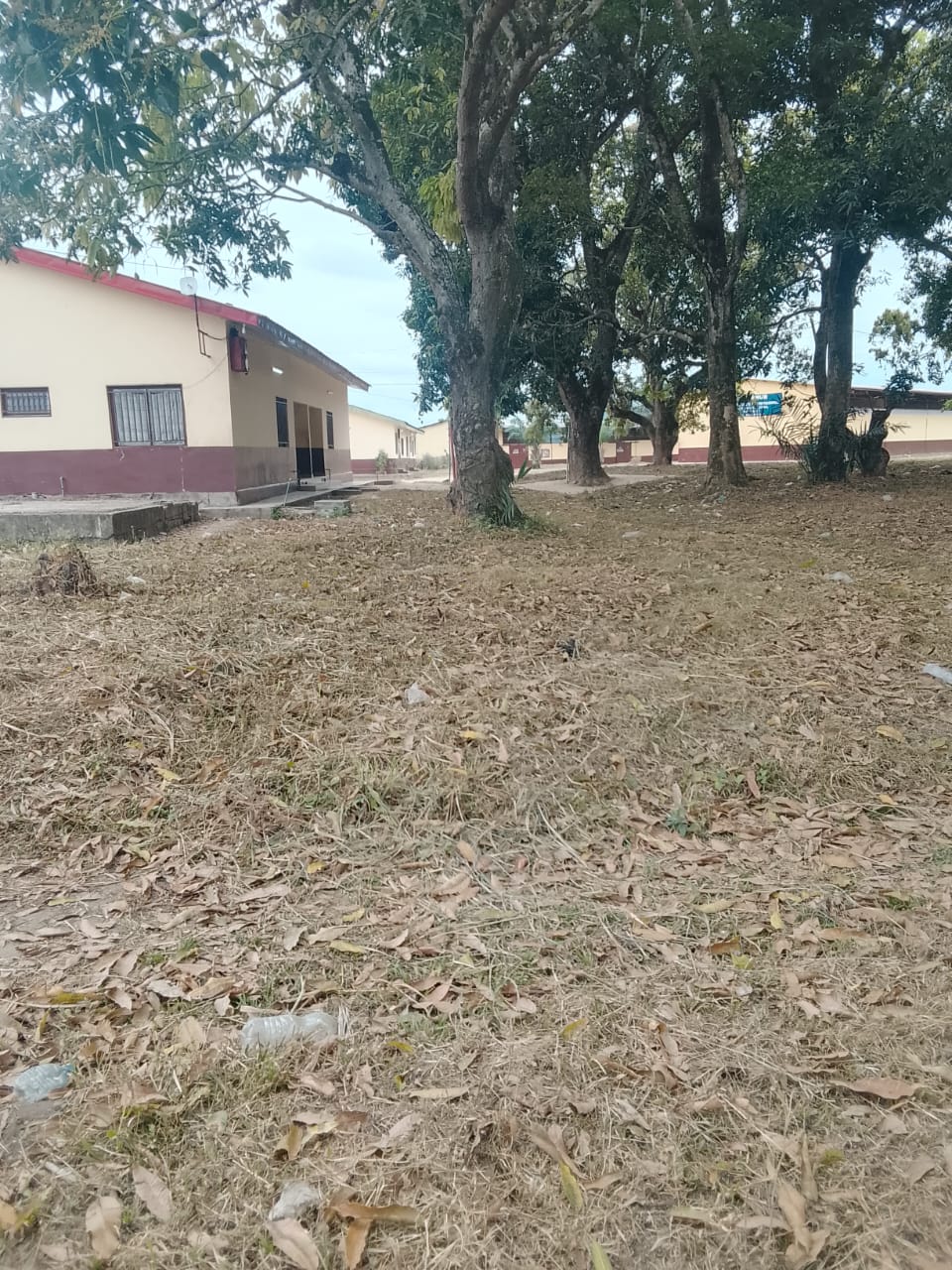 Photo 39 — après les travaux, Lycée agricole du km 17 à Brazzaville