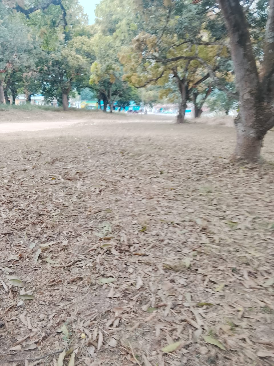 Photo 40 — après les travaux, Lycée agricole du km 17 à Brazzaville