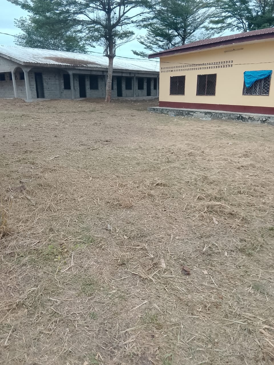 Photo 44 — après les travaux, Lycée agricole du km 17 à Brazzaville