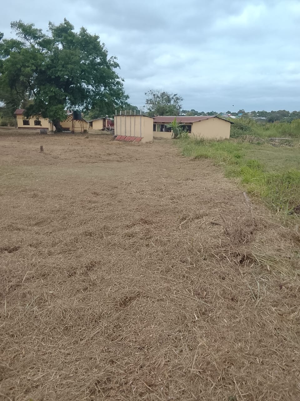 Photo 50 — après les travaux, Lycée agricole du km 17 à Brazzaville